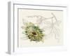 Passionflower III-Melissa Wang-Framed Art Print