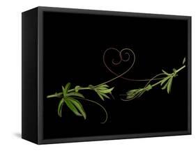 Passionvine Heart-Doris Mitsch-Framed Stretched Canvas