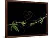 Passionvine Heart-Doris Mitsch-Framed Photographic Print