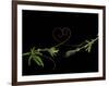 Passionvine Heart-Doris Mitsch-Framed Photographic Print