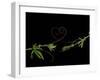 Passionvine Heart-Doris Mitsch-Framed Premium Photographic Print