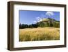 Passo Di Costalunga and Catinaccio Mountains-Guido Cozzi-Framed Photographic Print