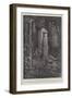 Past and Present, in a Nicaraguan Forest, Central America-Paul Frenzeny-Framed Giclee Print