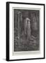 Past and Present, in a Nicaraguan Forest, Central America-Paul Frenzeny-Framed Giclee Print