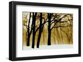 Past Dreams-David Winston-Framed Art Print