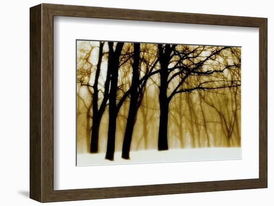 Past Dreams-David Winston-Framed Art Print