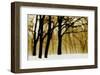 Past Dreams-David Winston-Framed Art Print