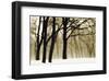 Past Dreams-David Winston-Framed Giclee Print