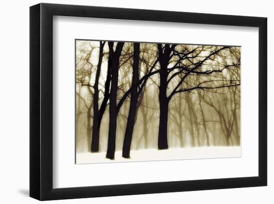 Past Dreams-David Winston-Framed Giclee Print