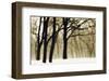 Past Dreams-David Winston-Framed Giclee Print