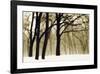 Past Dreams-David Winston-Framed Giclee Print