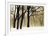 Past Dreams-David Winston-Framed Giclee Print