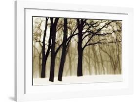 Past Dreams-David Lorenz Winston-Framed Art Print