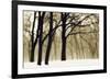 Past Dreams-David Lorenz Winston-Framed Art Print