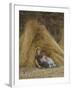 Past Work-Helen Allingham-Framed Giclee Print