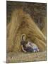 Past Work-Helen Allingham-Mounted Giclee Print