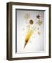 Pasta Arranged In the Shape of a Flower-Veronique Leplat-Framed Premium Photographic Print