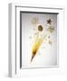 Pasta Arranged In the Shape of a Flower-Veronique Leplat-Framed Premium Photographic Print
