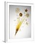 Pasta Arranged In the Shape of a Flower-Veronique Leplat-Framed Photographic Print