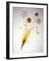 Pasta Arranged In the Shape of a Flower-Veronique Leplat-Framed Photographic Print