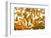 Pasta Boil-Steve Gadomski-Framed Photographic Print