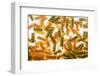 Pasta Boil-Steve Gadomski-Framed Premium Photographic Print