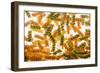 Pasta Boil-Steve Gadomski-Framed Photographic Print