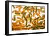 Pasta Boil-Steve Gadomski-Framed Photographic Print