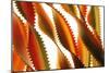 Pasta, close-up of multi-coloured Italian pasta twists-David Burton-Mounted Photographic Print