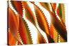 Pasta, close-up of multi-coloured Italian pasta twists-David Burton-Stretched Canvas