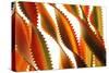 Pasta, close-up of multi-coloured Italian pasta twists-David Burton-Stretched Canvas