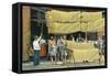Pasta Drying, Italy-null-Framed Stretched Canvas