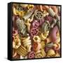 Pasta in Assorted Shapes and Colours (Filling the Image)-Dave King-Framed Stretched Canvas