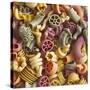 Pasta in Assorted Shapes and Colours (Filling the Image)-Dave King-Stretched Canvas