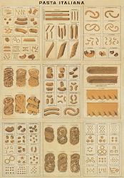 Noodle Types Chart Pasta Posters Prints Paintings Wall Art Allposters Com pasta posters prints paintings wall