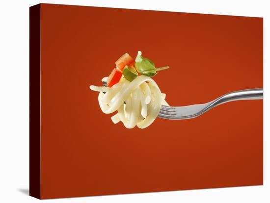 Pasta with Vegetables on a Fork-Kröger & Gross-Stretched Canvas