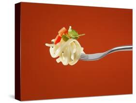 Pasta with Vegetables on a Fork-Kröger & Gross-Stretched Canvas