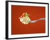 Pasta with Vegetables on a Fork-Kröger & Gross-Framed Photographic Print