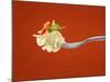 Pasta with Vegetables on a Fork-Kröger & Gross-Mounted Photographic Print