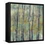 Pastel Arbor II-Jennifer Goldberger-Framed Stretched Canvas