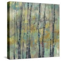 Pastel Arbor II-Jennifer Goldberger-Stretched Canvas