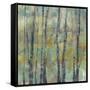 Pastel Arbor II-Jennifer Goldberger-Framed Stretched Canvas