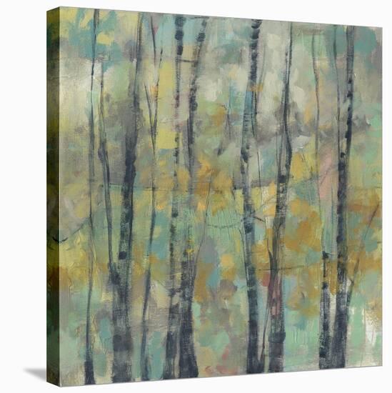 Pastel Arbor II-Jennifer Goldberger-Stretched Canvas