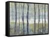 Pastel Birches I-Jennifer Goldberger-Framed Stretched Canvas