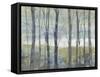 Pastel Birches I-Jennifer Goldberger-Framed Stretched Canvas