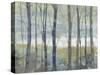 Pastel Birches I-Jennifer Goldberger-Stretched Canvas