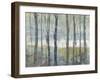 Pastel Birches I-Jennifer Goldberger-Framed Art Print