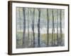 Pastel Birches I-Jennifer Goldberger-Framed Art Print