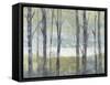 Pastel Birches II-Jennifer Goldberger-Framed Stretched Canvas