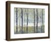 Pastel Birches II-Jennifer Goldberger-Framed Art Print